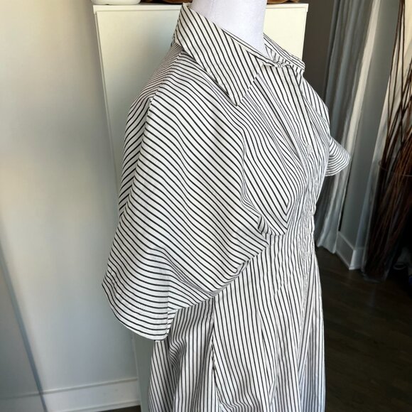 Anthropology The Tobie Button-Front Pleated Shirt Dress by Exquise - Picture 9 of 14